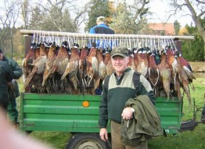 Pheasants on Driven Shoot LRes